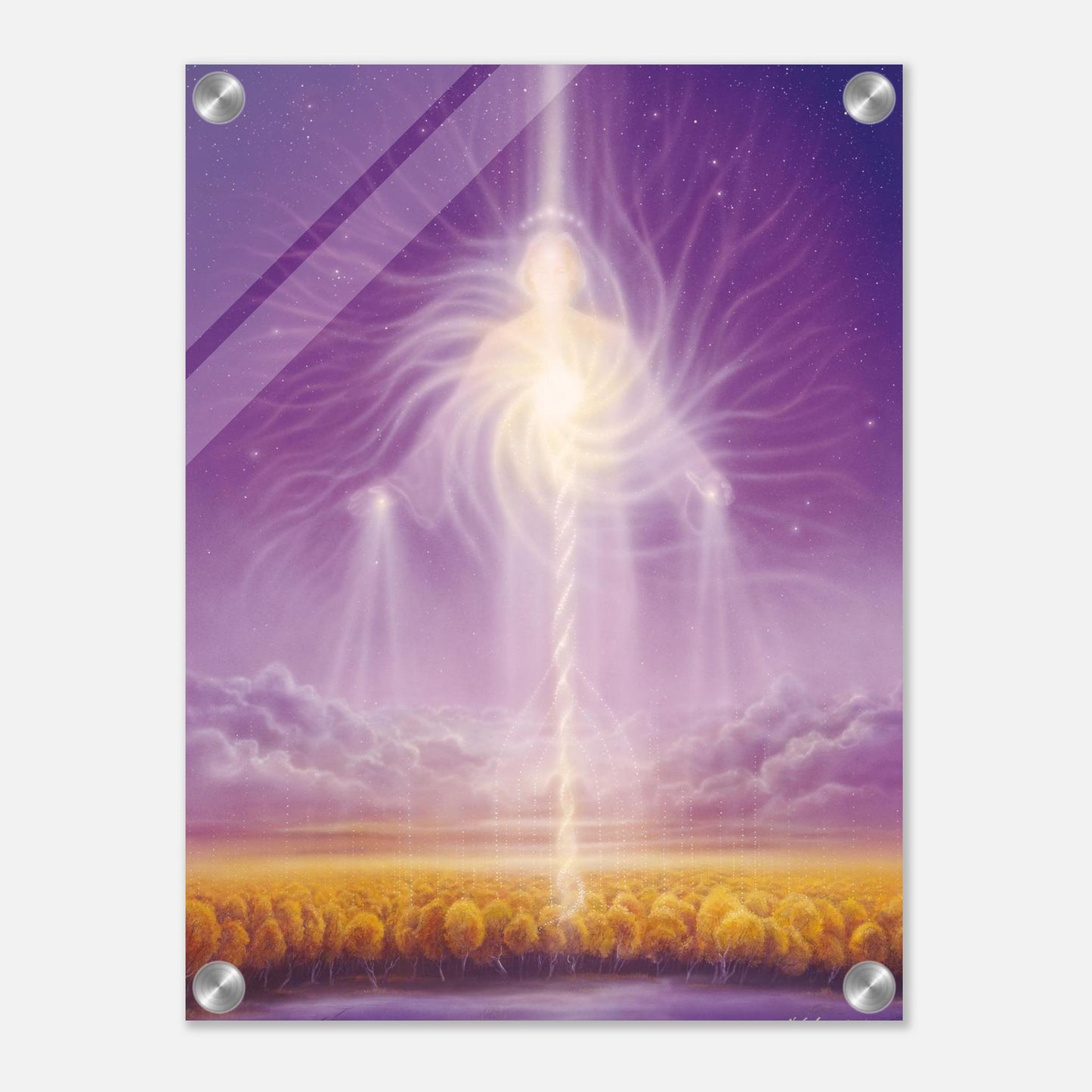 d185e1fb-18d8-490b-80a4-8d537b4e0101