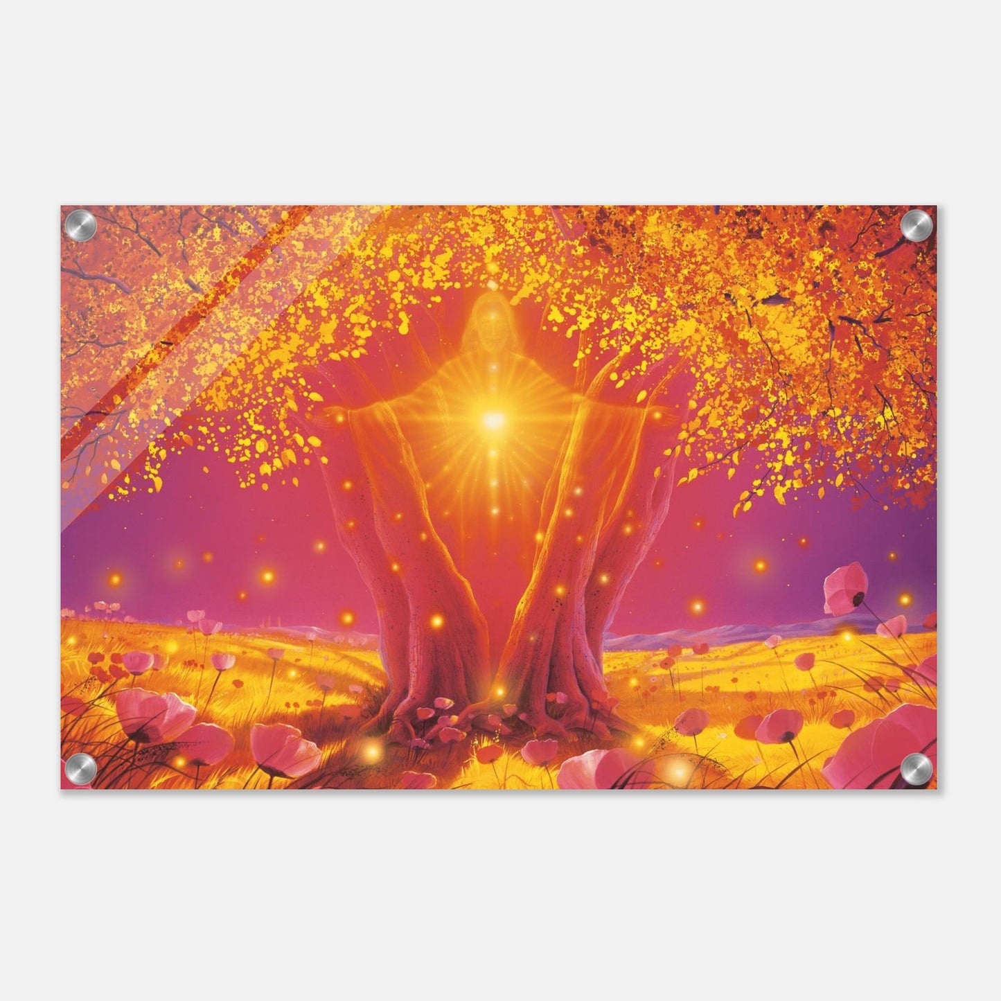 dc731196-33cd-48dd-9a54-c5ee640fd4e7