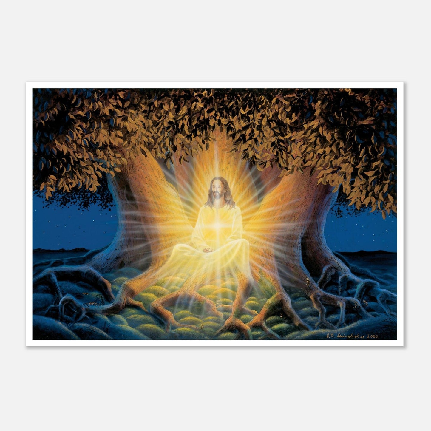 e5db48b9-8bb5-49a4-8ef4-f9d547cdbb69