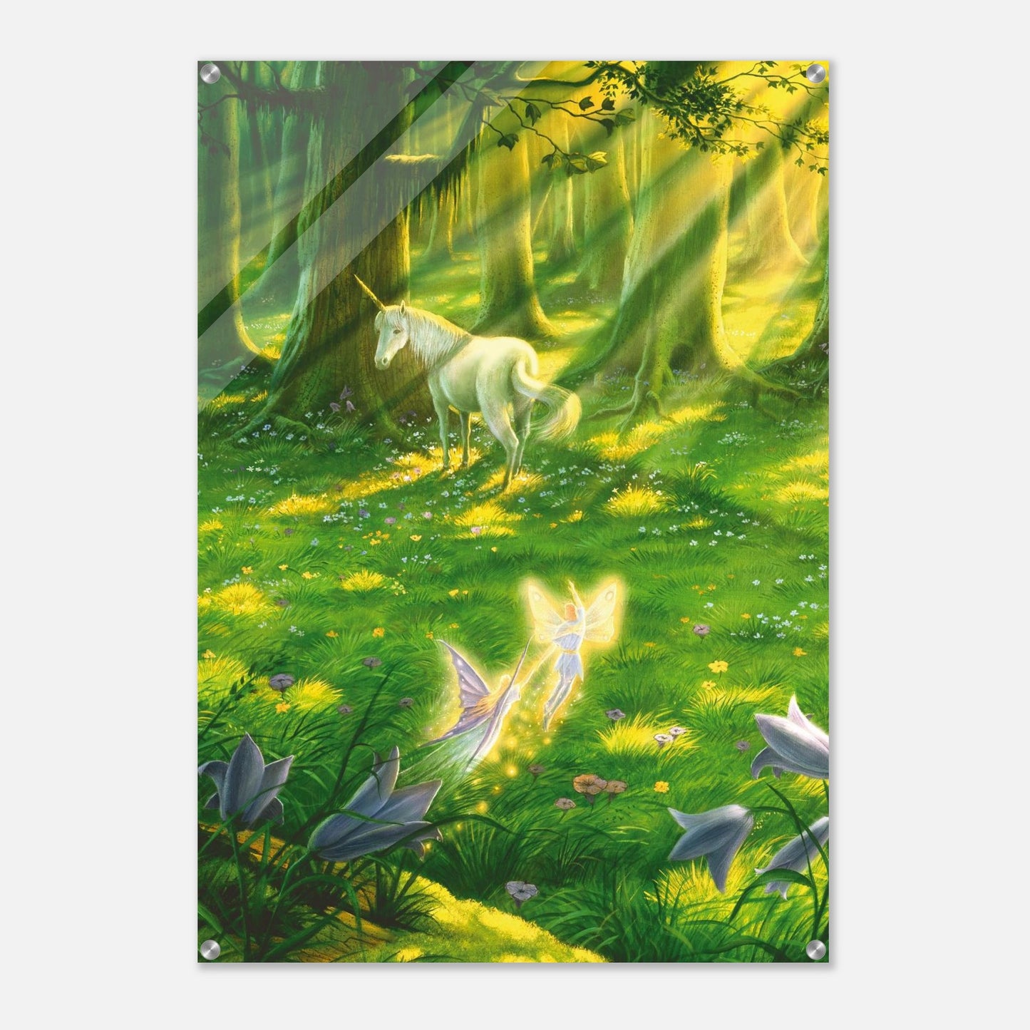 e83ae41b-a94a-42d6-a21a-58e8c7ae40fd