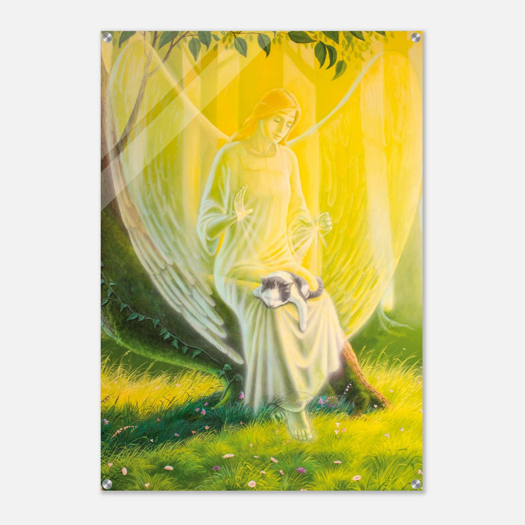 fa5dfdb5-ba8d-4f37-b6ee-64ad24d6d988